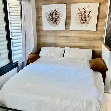 Silver & Brownie, Veracruz Sunset Playa de las Américas