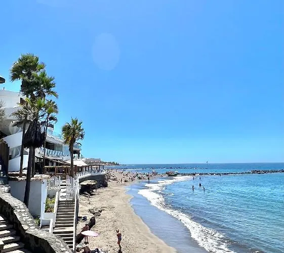 Silver & Brownie, Veracruz Sunset Playa de las Américas