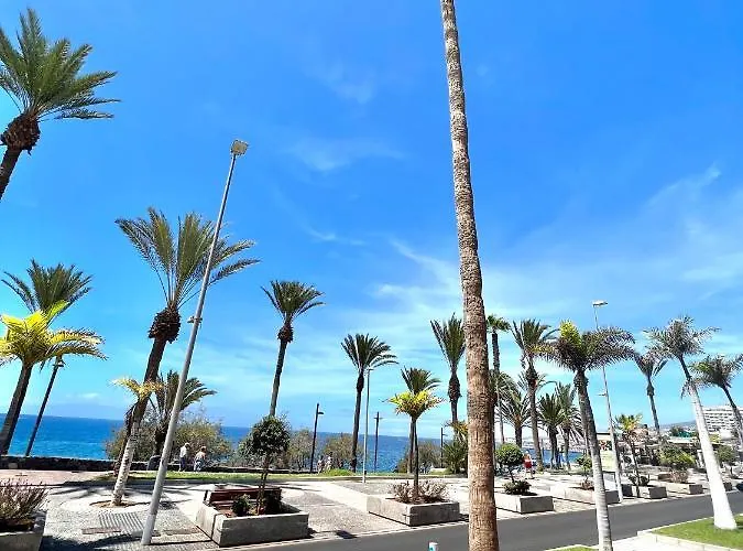 Silver & Brownie, Veracruz Sunset * 플라야데라스아메리카스