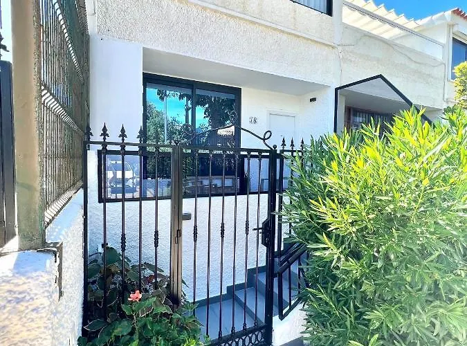 Silver & Brownie, Veracruz Sunset *