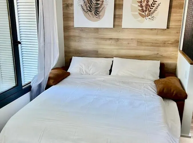 Silver & Brownie, Veracruz Sunset Playa de las Américas