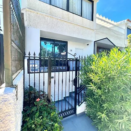 Silver&brownie, Veracruz Sunset *