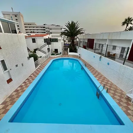 Silver&brownie, Veracruz Sunset